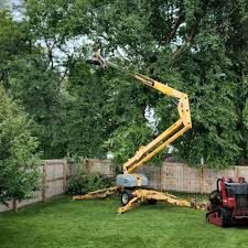 Professional Tree Removal and Landscaping Services in Carleton, MI